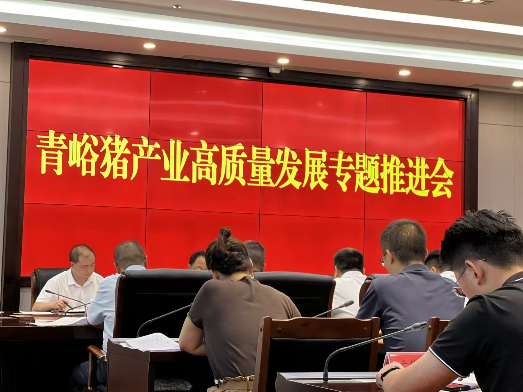 關于推動巴山牧業青峪豬產業高質量發展的專題推進會